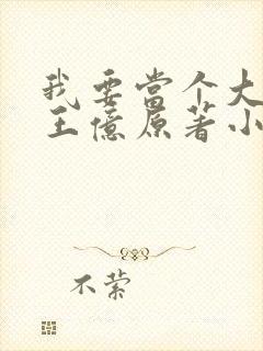 我要当个大坏蛋王亿原著小说免费