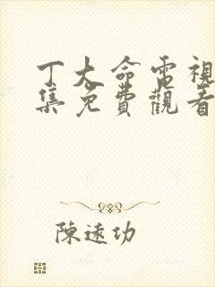 丁大命电视剧全集免费观看西瓜