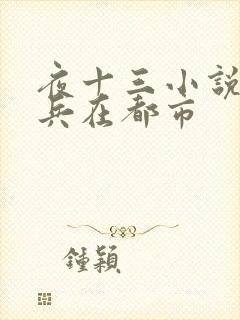 夜十三小说特种兵在都市