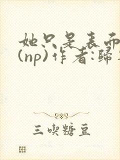 她只是表面清纯(np)作者:归零全集免费
