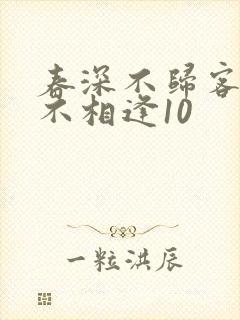 春深不归客清梦不相逢10