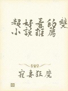 超好看的双男主小说推荐