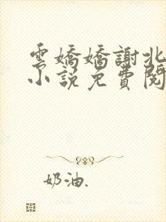 云娇娇谢北溟的小说免费阅读