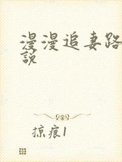 漫漫追妻路的小说