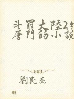 斗罗大陆2绝世唐门的小说