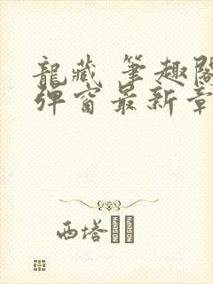 龙藏 笔趣阁无弹窗最新章节