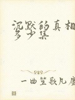 沉默的真相总共多少集