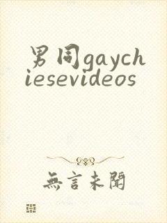 男同gaychiesevideos