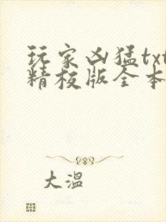 玩家凶猛txt精校版全本下载