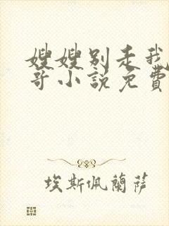 嫂嫂别走我是我哥小说免费阅读