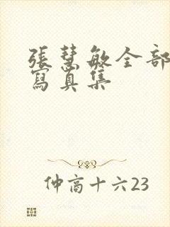 张慧敏全部裸体写真集封面