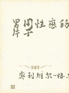 男同性恋的黄色片子