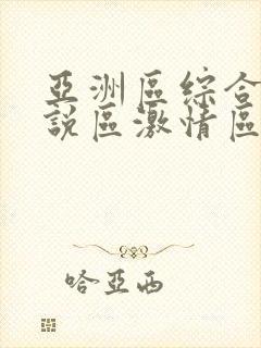 亚洲区综合区小说区激情区