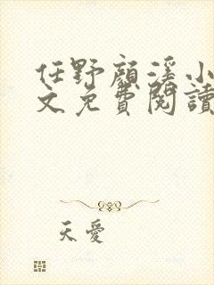 任野颜溪小说全文免费阅读封面