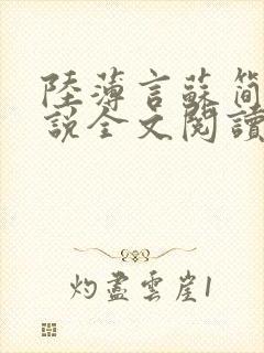 陆薄言苏简安小说全文阅读封面