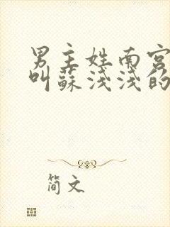 男主姓南宫女主叫苏浅浅的小说