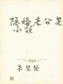 隐婚老公是巨星 小说