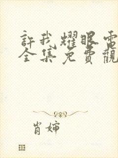 许我耀眼电视剧全集免费观看15集