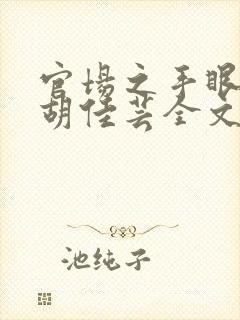 官场之手眼通天胡佳芸全文在线阅读