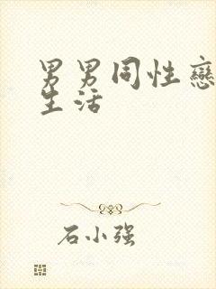 男男同性恋的性生活