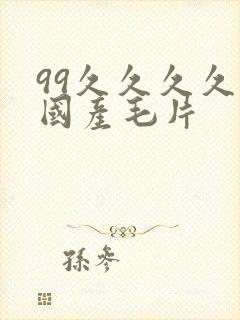 99久久久久久国产毛片