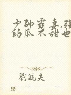 少帅霸妻,强扭的瓜不甜也得甜全剧介绍