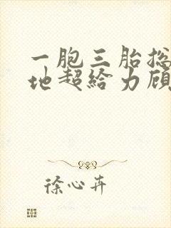 一胞三胎总裁爹地超给力顾墨枫