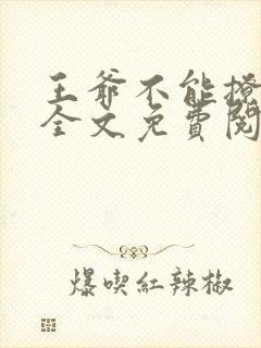 王爷不能撩小说全文免费阅读