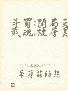 斗罗:开局天使武魂,被唐昊追杀小说