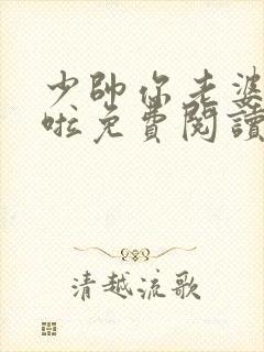 少帅你老婆又跑啦免费阅读