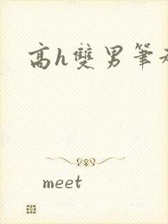 高h双男笔趣阁