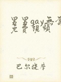 男男gay无套免费视频封面