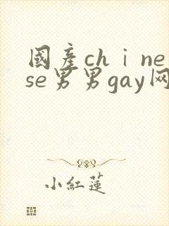 国产chⅰnese男男gay网站封面