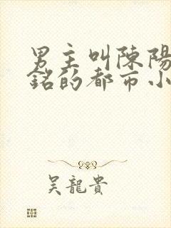 男主叫陈阳陈书铭的都市小说