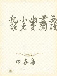 龙小幽君无邪小说免费阅读