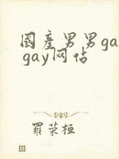 国产男男gay gay网站