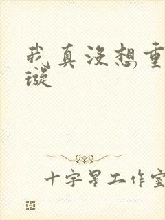 我真没想重生罗璇封面