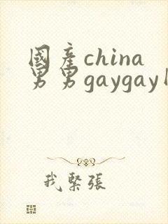 国产china男男gaygay网站