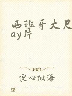 西班牙大尺度gay片封面