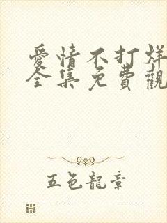 爱情不打烊短剧全集免费观看高清版