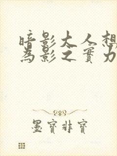 暗影大人想要成为影之实力者小说