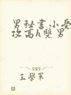 男秘书小受引诱攻高h双男封面