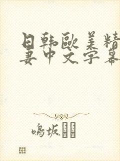 日韩欧美精品人妻中文字幕