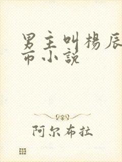 男主叫杨辰的都市小说