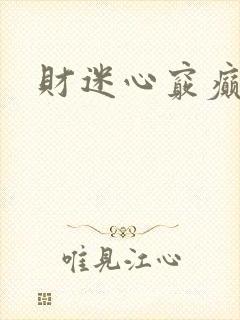 财迷心窍癫婆封面