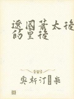 辽国萧太后是谁的皇后封面