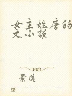 女主姓唐的总裁文小说