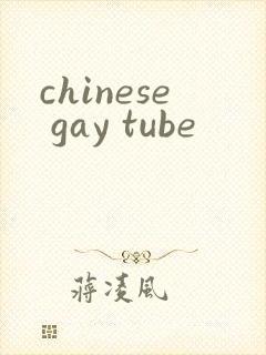 chinese gay tube封面