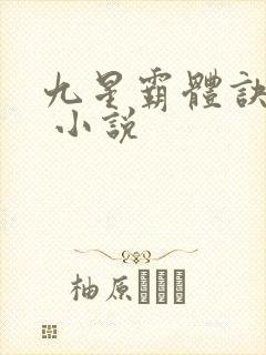 九星霸体诀龙尘 小说