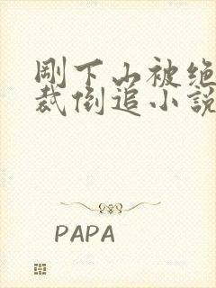 刚下山被绝色总裁倒追小说